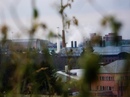 university seen through its weeds