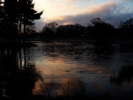Mirror lake at dawn